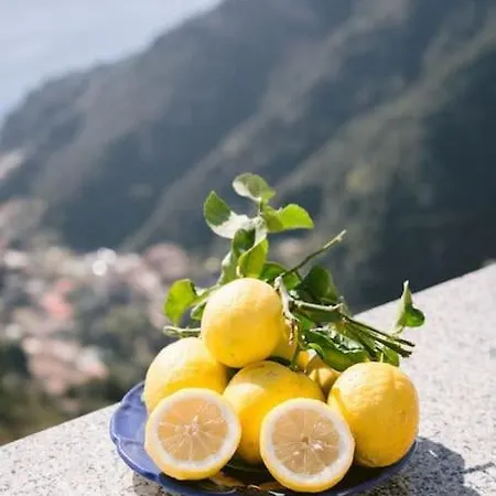 아파트 Terrazza Belvedere A -scala- Amalfi Coast- Park Included