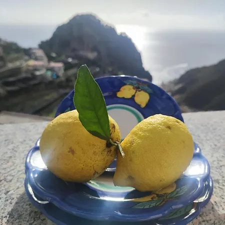Apartment Terrazza Belvedere A - Amalfi Coast